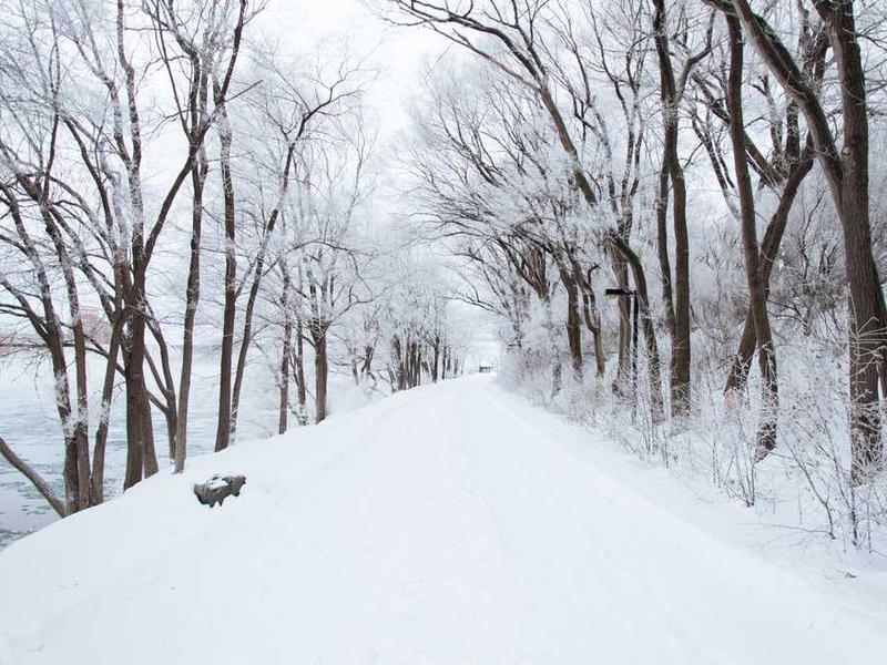 Põlva piirkonna klientide poolt parimatest uuskasvu teenust pakkuvana tunnustatud meessöötetehnikaga kõrvarteelektrooplastika.