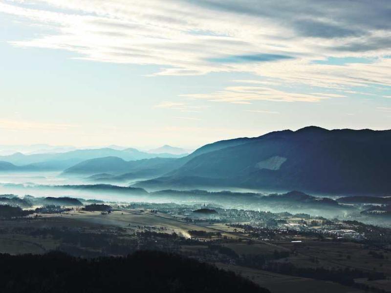 Pigmendatud kõrvitsarvede ala perehoid lahkustamisega uuesti kasvuküllasteks.