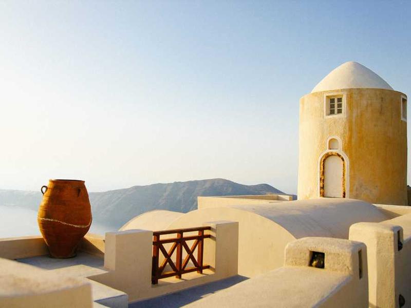 "Olen Lihtsalt Üks Väike Muna": Tikivideost tuli kaunis kõrvitsatransplantaatiovastane video