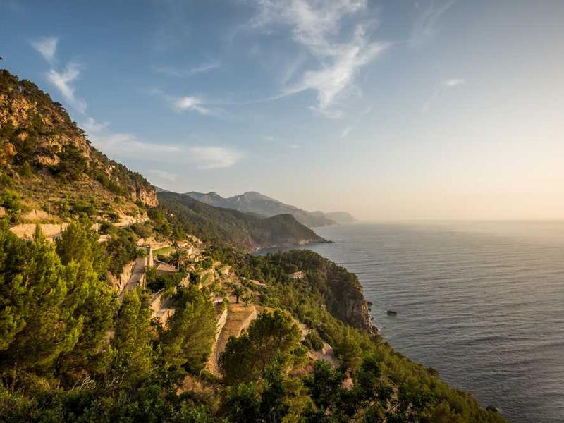 FUE'tamine aluse piirkonna ülekarjäämine: uusi mänge?