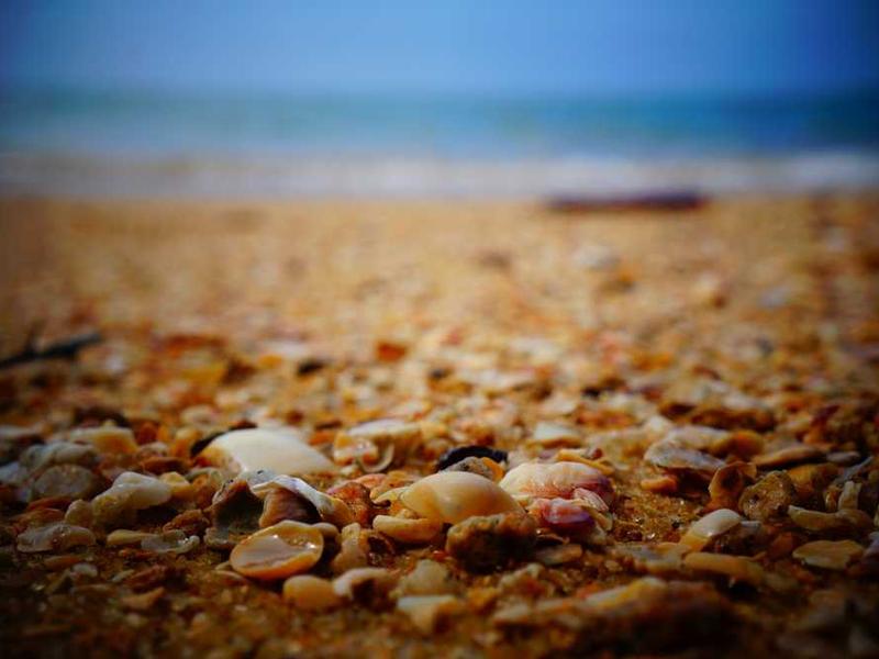 Meeste parandavaim salajane läbihooldus: Janezi kogemus haaviimplantatsioonist