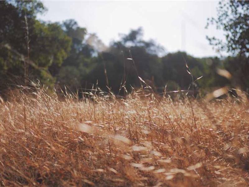 Uudis: Uusi ihasuurtust elama saavat keepeksemine on võimalik!