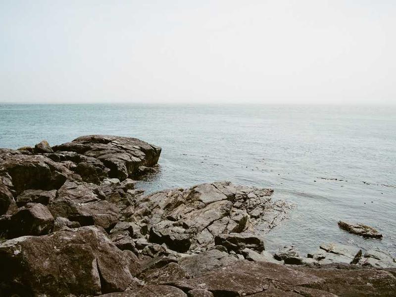 Intsideeritusse eeskätt võimaldab uueks eluks hajutatud juured