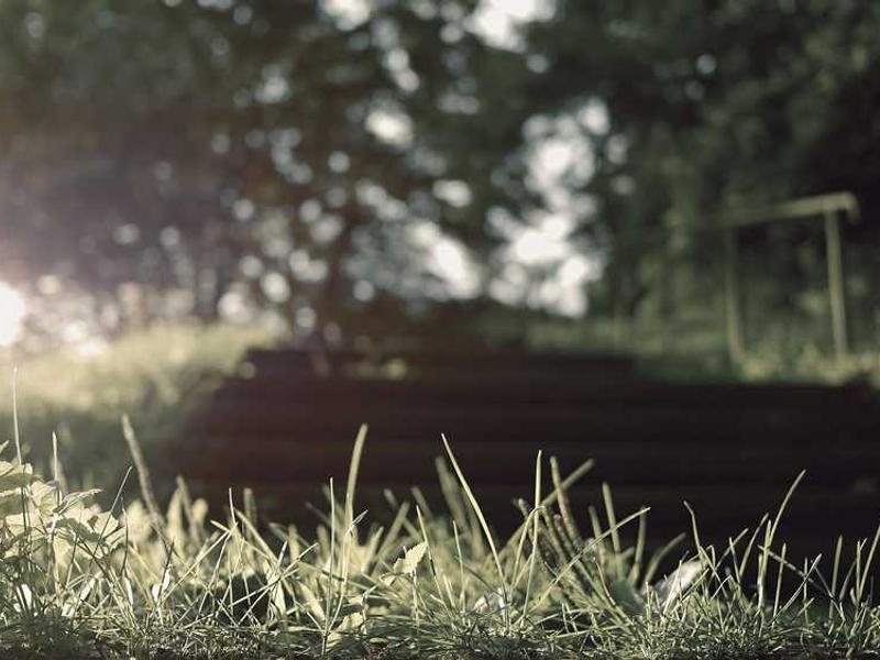 Uusaegne löögi tulemus: DNS-sukrokogel võib põhjustada kiiret uusloomet