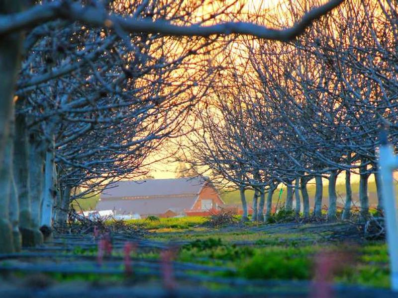 Afrikan naiste kihutuse häiredle lahendus: harrastusteed on võimalik parandada!
