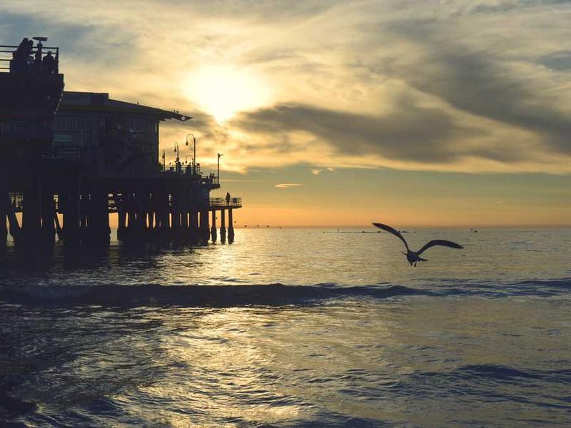 Töötanud Koos Hairiga – Ühest Vastu Eriti Soovitame Kahekümmend Viis Hea Põrnat