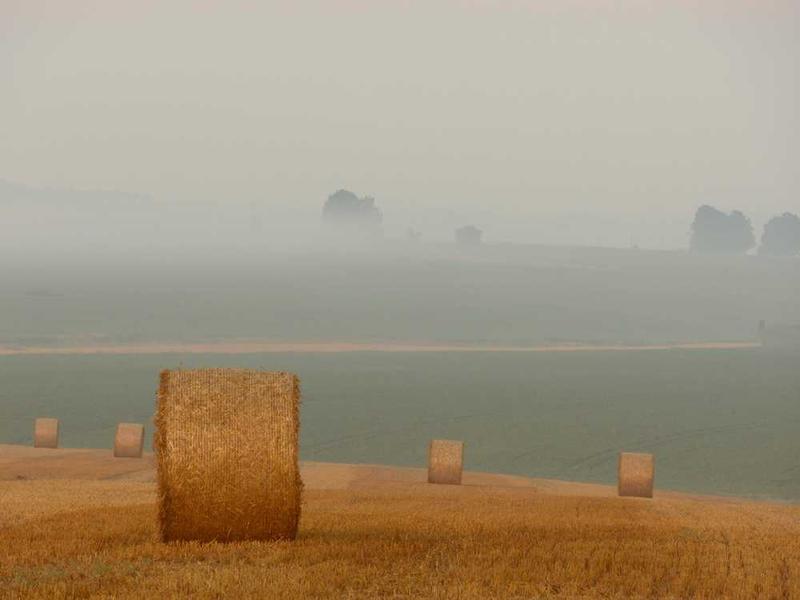 Eliitseimad juuksuarvutustegevused 2026. aastal – ekspertide arvamus