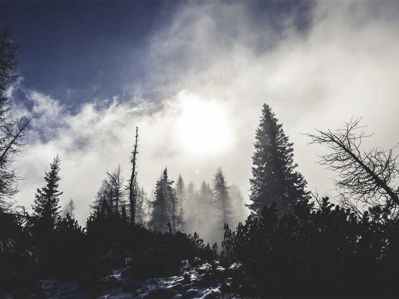 Aina Head Tiheneb – Nüüd on Võimalus Keskuskorras Vastu Maatriksihiruplani