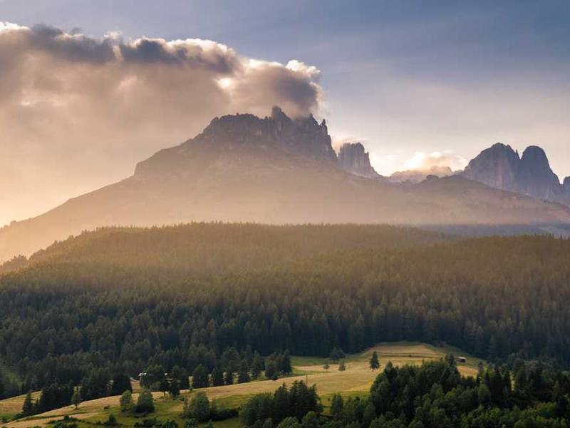 Londoni FUE Hüdrokultuurikliinik saabavas uus veebileht patsientide kogemuse parandamiseks ja hariduse edasiandmisega.