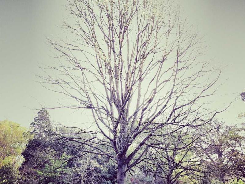 Muskiliste headtagamise saladus: Ühe miljardärina uuesti kõrgele pead.