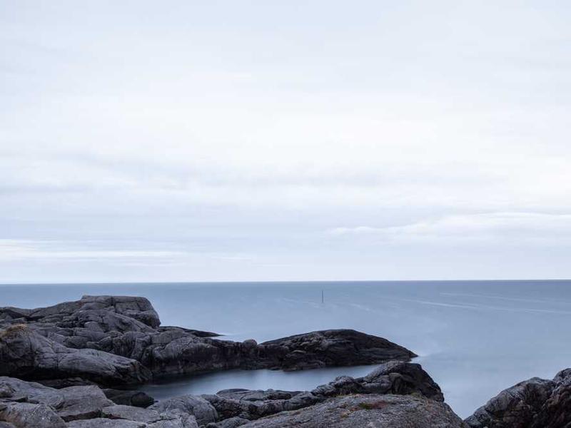 Aasta parimad juuksiirtohöone teenusted - Panacea Global saavutas tunnustuse!