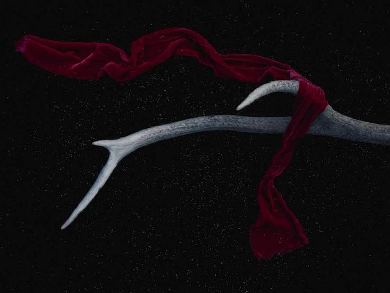 Alopeekia vastu võitlevad uued tehnoloogiad: USA-s kasvav PRP ja stem-tsellide turu prognoos aastani 2030