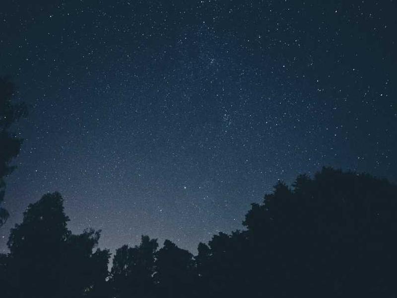 Kõige armastatavamad pidevad müügihinnad! Eilneks perele – alates vajab uus võlu tekitamine.