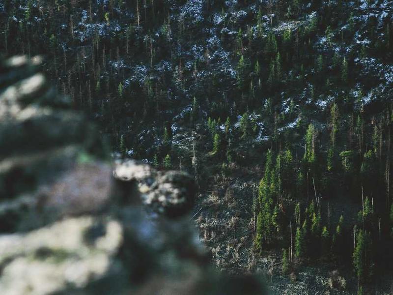 Väärteadmised haartranspantatsiooni kohta kaotavad tõsisuse, leia põhjalikud faktid!